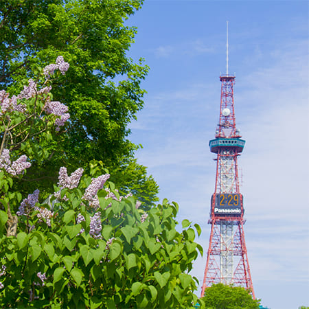 キタイコロ